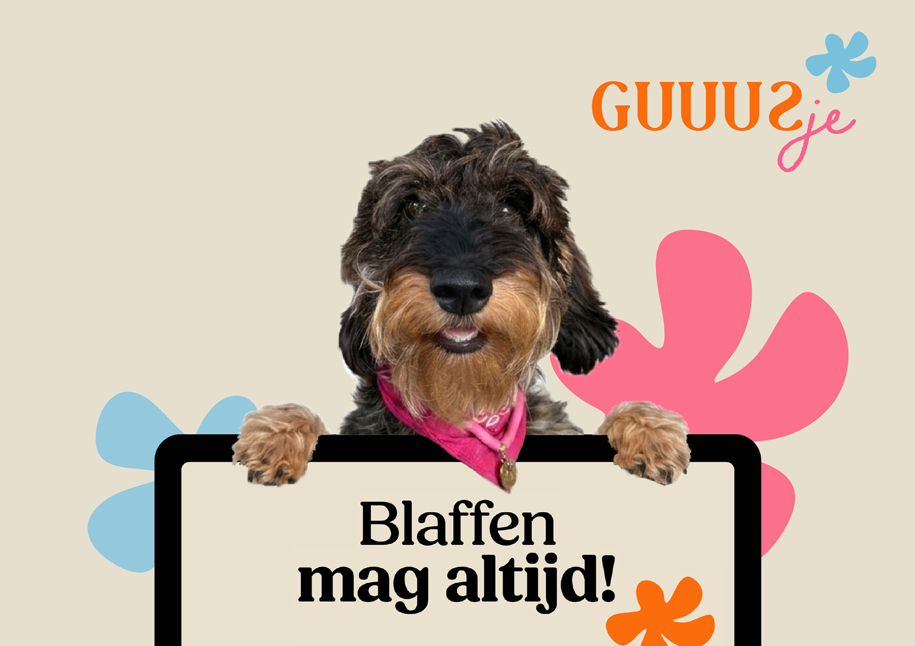 Teckel Guuusje website door Boerma Reclame
